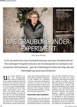 DAS GRAUBURGUNDER-EXPERIMENT - Weingut Salwey