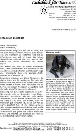 Lichtblick f&uuml;r Tiere e.V - Lichtblick f&uuml;r Tiere eV