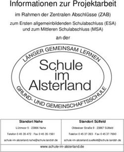 Informationen zur Projektarbeit - im Rahmen der Zentralen Abschlüsse (ZAB) - Schule im Alsterland