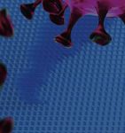 PRESSEBriefing - Neueste Erkenntnisse zur Delta-Variante - Mittwoch | 07.07.2021 12.00 bis 13.00 Uhr - KV Nordrhein