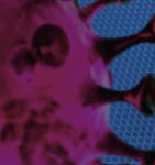 PRESSEBriefing - Neueste Erkenntnisse zur Delta-Variante - Mittwoch | 07.07.2021 12.00 bis 13.00 Uhr - KV Nordrhein