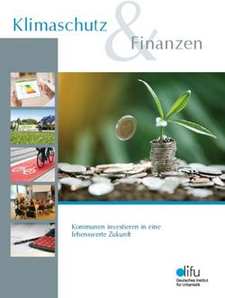 Klimaschutz Finanzen - Deutsches Institut für Urbanistik