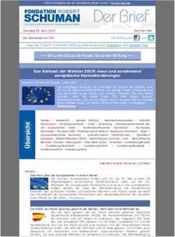 Der Kontext der Wahlen 2019: neue und zunehmend europ&auml;ische Herausforderungen