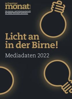 Licht an in der Birne! - Mediadaten 2022 - Die Autoren- und Debattenzeitschrift f&uuml;r Politik, Wirtschaft und Kultur - Schweizer Monat