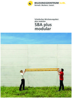 SBA plus modular Schulisches Br&uuml;ckenangebot plus modular
