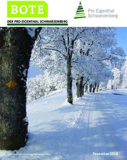 BOTE DER PRO EIGENTHAL SCHWARZENBERG - Dezember 2018