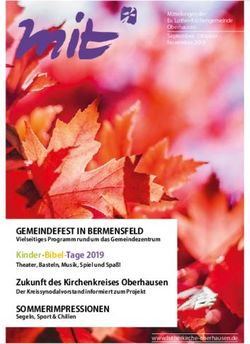 GEMEINDEFEST IN BERMENSFELD - Kinder-Bibel-Tage 2019