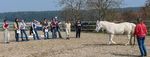Studiengang Manuelle Pferdetherapie - Studienbrosch&uuml;re 2019 Akademie f&uuml;r Pferdetherapie Ausbildungs- und Therapiezentrum Silver Horse Ranch