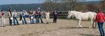 Studiengang Manuelle Pferdetherapie - Studienbrosch&uuml;re 2019 Akademie f&uuml;r Pferdetherapie Ausbildungs- und Therapiezentrum Silver Horse Ranch