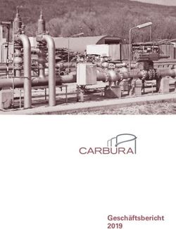 Gesch&auml;ftsbericht 2019 - CARBURA