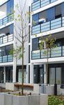Stiftung aktuell Erfolgreiche Unterst&uuml;tzung der Kinder- und Jugendprojekte - Mitgliedermagazin der WGH-Herrenhausen eG