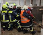 Blaulicht-Express Freiwillige Feuerwehr Breitenwaida - FF Breitenwaida