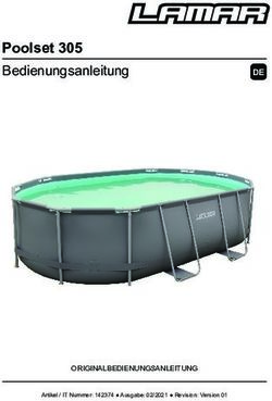 Poolset 305 Bedienungsanleitung - DE