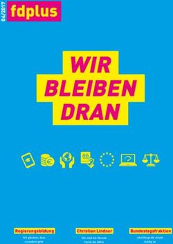 WIR BLEIBEN DRAN - 7 fdplus - Regierungsbildung