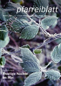 Frostige N&auml;chte im Mai - Die Eisheiligen - 9/2021 1. bis 15. Mai Luzerner Seepfarreien Greppen - Weggis - Vitznau