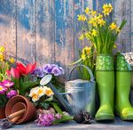 Fr&uuml;hling l&auml;sst sein blaues Band - Diakonie Eibenstock