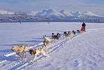 Winterzauber in Tromsø - Ihr Tor zur Arktis und den Polarlichtern - Tagesspiegel