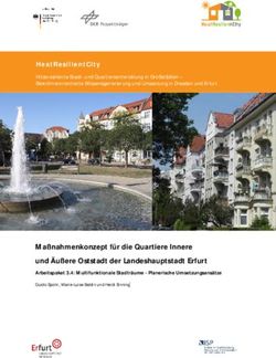 Ma&szlig;nahmenkonzept f&uuml;r die Quartiere Innere und &Auml;u&szlig;ere Oststadt der Landeshauptstadt Erfurt