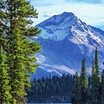 Natur pur in Alaska und Kanada - NWZ Leserreisen