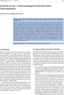 Seabirds at Sea - Untersuchungen in den deutschen Meeresgebieten