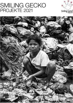 SMILING GECKO PROJEKTE 2021