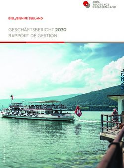 GESCH&Auml;FTSBERICHT 2020 RAPPORT DE GESTION - BIEL/BIENNE SEELAND