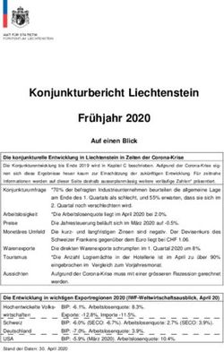 Konjunkturbericht Liechtenstein Frühjahr 2020 - Auf einen Blick