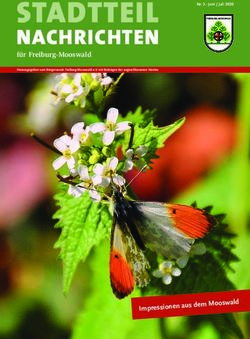 STADTTEIL NACHRICHTEN - f&uuml;r Freiburg-Mooswald - Freiburg Mooswald online