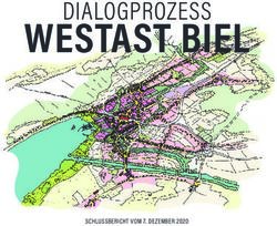 WESTAST BIEL - SCHLUSSBERICHT VOM 7. DEZEMBER 2020