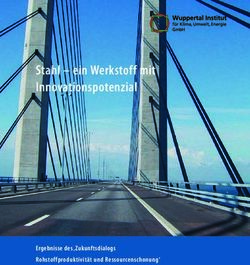 Stahl - ein Werkstoff mit Innovationspotenzial - Ergebnisse des Zukunftsdialogs Rohstoffproduktivit&auml;t und Ressourcenschonung' - Publication ...