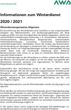 Informationen zum Winterdienst 2020 / 2021 - Stadt Augsburg