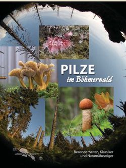 PILZE im Böhmerwald Besonderheiten, Klassiker und Naturnähezeiger - Deutsche Gesellschaft für ...