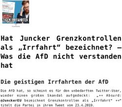 HAT JUNCKER GRENZKONTROLLEN ALS "IRRFAHRT" BEZEICHNET? - WAS DIE AFD NICHT VERSTANDEN HAT - VOLKSVERPETZER