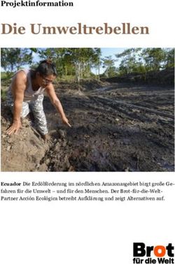 Die Umweltrebellen Projektinformation - Ecuador Die Erd&ouml;lf&ouml;rderung im n&ouml;rdlichen Amazonasgebiet birgt gro&szlig;e Ge- fahren f&uuml;r die Umwelt - und f&uuml;r ...