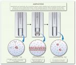 LAAC2 Vorlesung zum Anorganisch-chemischen Lehramtspraktikum - Dr. Magdalena Rusan 26.04.2021