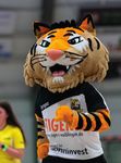 #GOTIGERS ZU GAST: HSV SOLINGEN GR&Auml;FRATH 76 - SAMSTAG - VFL WAIBLINGEN TIGERS