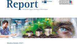 Report - Media-Daten 2021