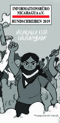 INFORMATIONSB&Uuml;RO NICARAGUA e.V. RUNDSCHREIBEN 2019