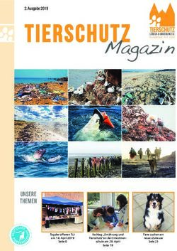 Magazin TIERSCHUTZ - Tierschutz L&uuml;beck und Umgebung eV