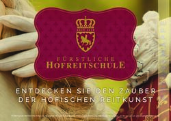 ENTDECKEN SIE DEN ZAUBER DER H&Ouml;FISCHEN REITKUNST - F&uuml;rstliche Hofreitschule