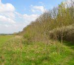 Natura 2000 im Privatwald - Umsetzungsm&ouml;glichkeiten durch die EU-Naturschutzfinanzierung
