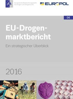 EU-Drogen-marktbericht - 2016 Ein strategischer Überblick
