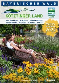 2022 PAUSCHAL ANGEBOTE - www.koetztinger-land.de - Bad K&ouml;tzting