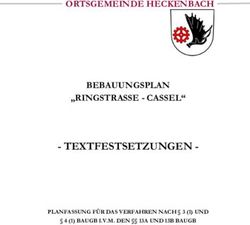 TEXTFESTSETZUNGEN - ORTSGEMEINDE HECKENBACH BEBAUUNGSPLAN "RINGSTRASSE - CASSEL"
