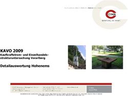 KAVO 2009 Detailauswertung Hohenems strukturuntersuchung Vorarlberg - VOL.AT