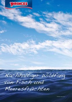 Nachhaltiger Wildfang von Fisch und Meeresfr&uuml;chten