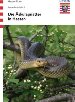 Die &Auml;skulapnatter in Hessen - Hessen-Forst Artenschutzinfo Nr. 7 - Hessen.de