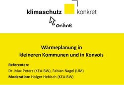 Wärmeplanung in kleineren Kommunen und in Konvois - Referenten: Dr. Max Peters (KEA-BW), Fabian Nagel (UM) Moderation: Holger Hebisch (KEA-BW)