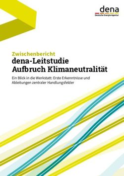 Dena-Leitstudie Aufbruch Klimaneutralität - Zwischenbericht