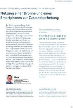 Nutzung einer Drohne und eines Smartphones zur Zustandserhebung